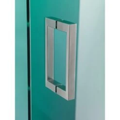 Sealskin Douchecabine Met Swingdeur I AM 100x200 Cm RVS -Thuis Badkamer 123 4099