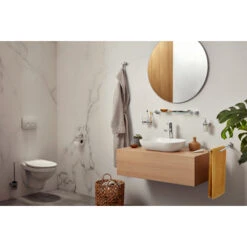 Haceka Toiletborstelhouder Aspen Hangend Chroom -Thuis Badkamer 123 6104