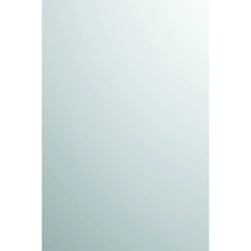 Plieger Spiegel Zilver 90x45 Cm 3 Plieger Spiegel Zilver 90x45 Cm