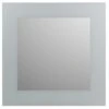 Plieger Spiegel Zandstraalkader Zilver 60x60 Cm -Thuis Badkamer 123 968